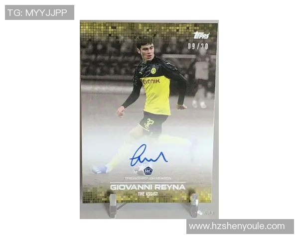 帕尼尼足球球星卡全景回顾与珍藏价值分析 帕尼尼足球球星卡全景回顾与珍藏价值分析