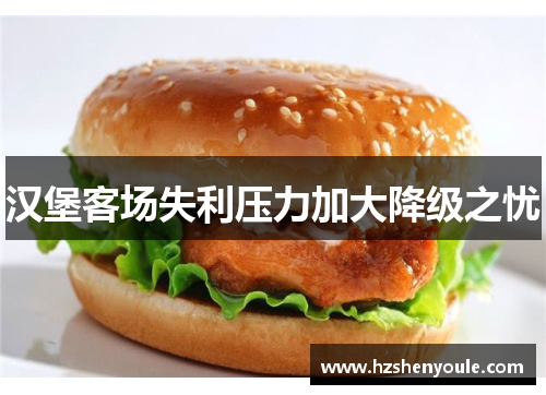 汉堡客场失利压力加大降级之忧